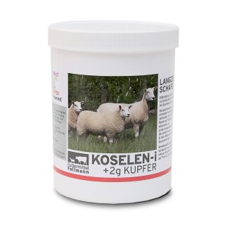 Koselen-i+2g Kupfer
