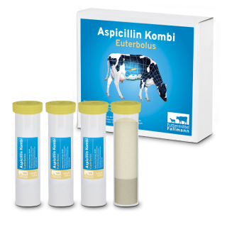 Aspicillin Kombi Bolus
